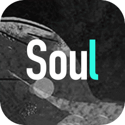 soul电脑版v3.83.0 官方最新版